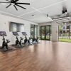 Your Wellness Dream